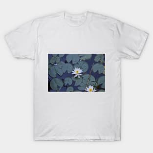 Beautiful white water lily T-Shirt